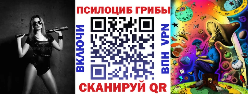 kraken маркетплейс  Хилок  Псилоцибиновые грибы мицелий  где купить наркоту 